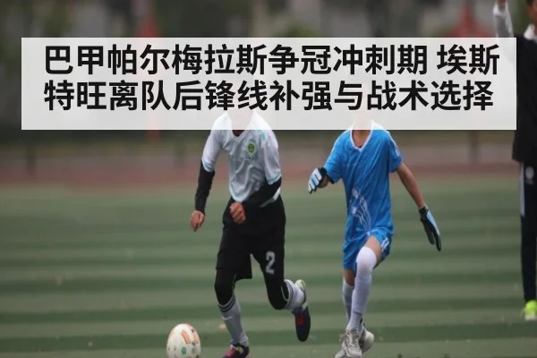 巴甲帕尔梅拉斯争冠冲刺期 埃斯特旺离队后锋线补强与战术选择 | www.hga026.com
